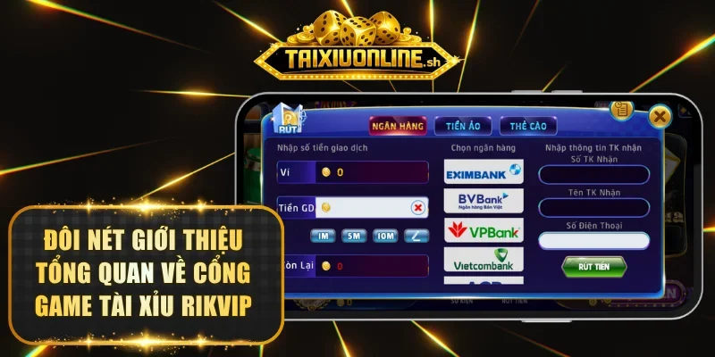 Đôi nét giới thiệu tổng quan về RIKVIP